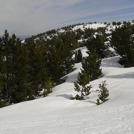 Apartment Face Aux Pistes Greolieres les Neiges Esterno foto