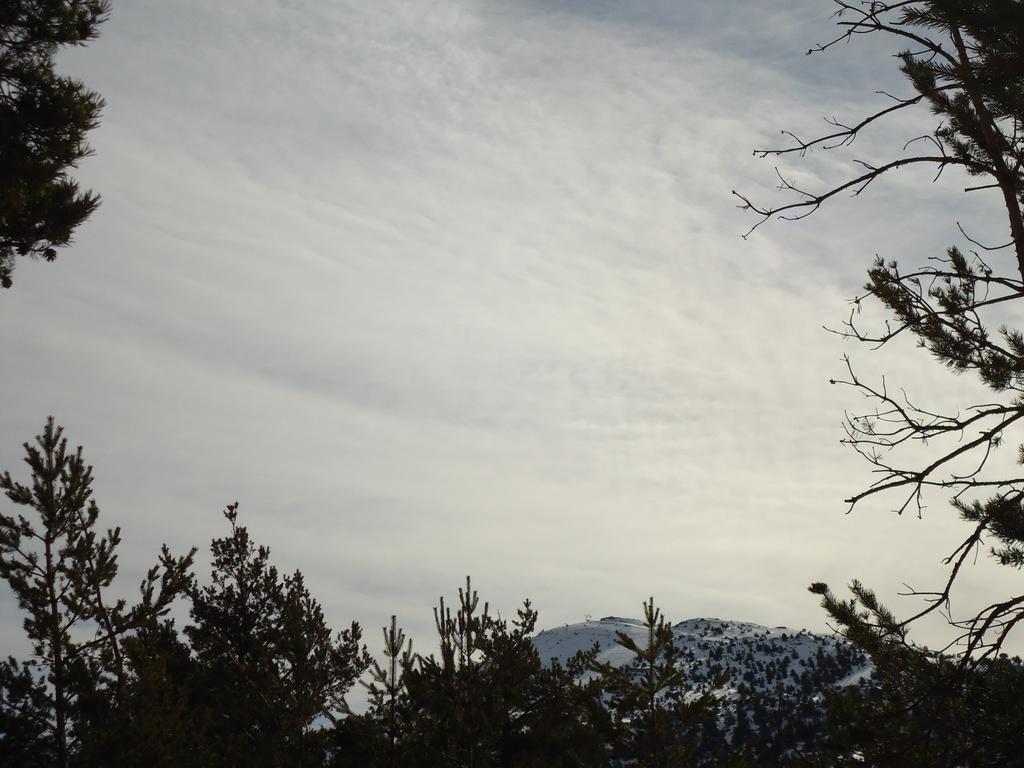 Apartment Face Aux Pistes Greolieres les Neiges Esterno foto