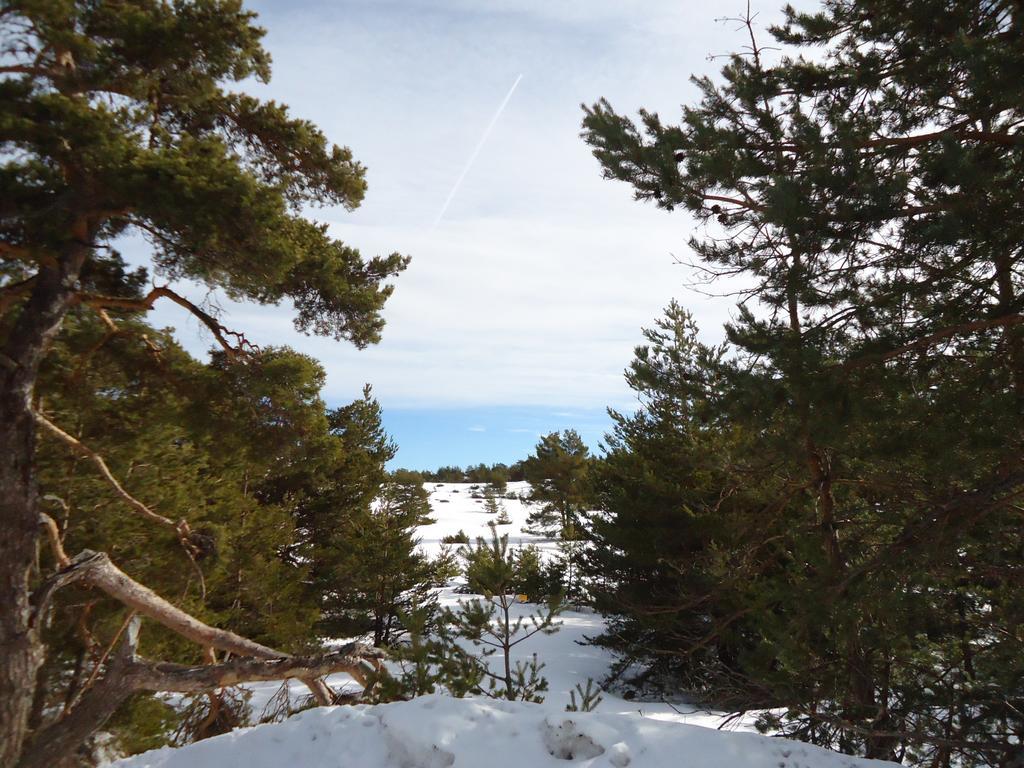 Apartment Face Aux Pistes Greolieres les Neiges Esterno foto