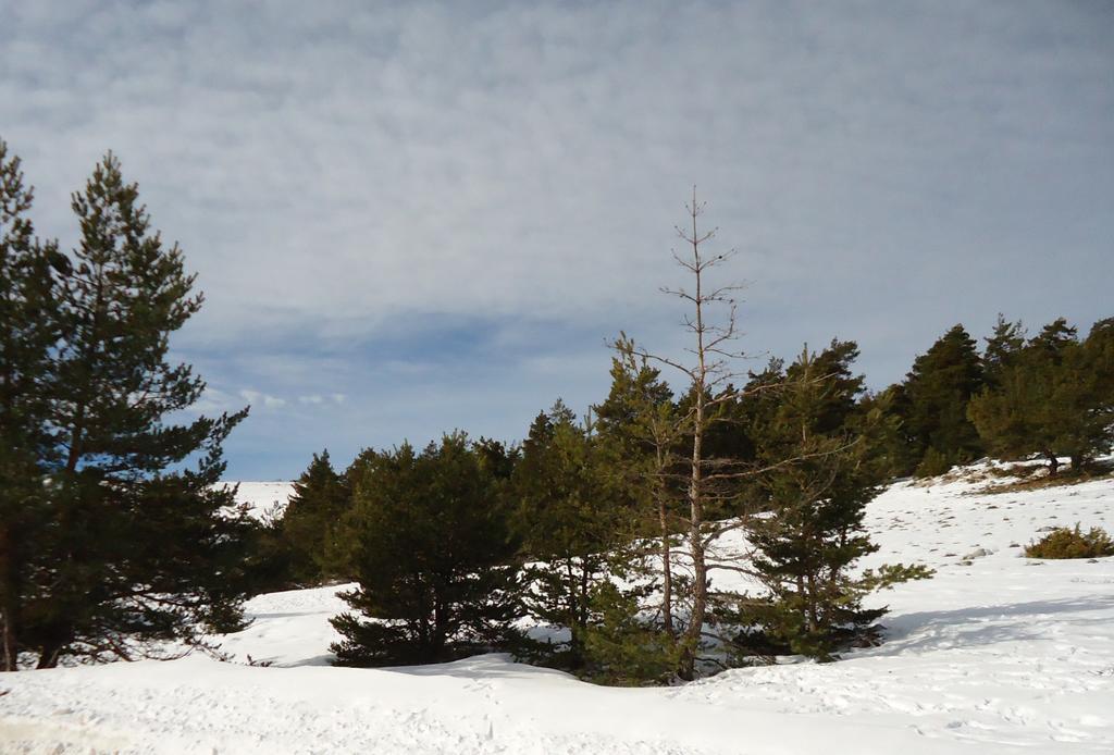 Apartment Face Aux Pistes Greolieres les Neiges Esterno foto
