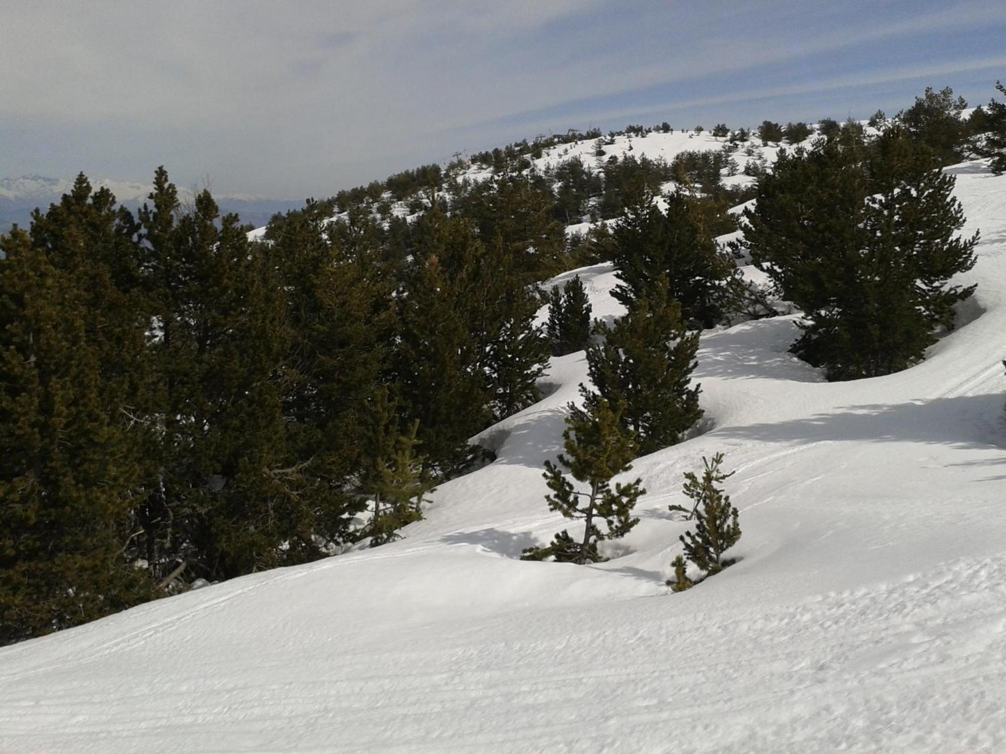 Apartment Face Aux Pistes Greolieres les Neiges Esterno foto