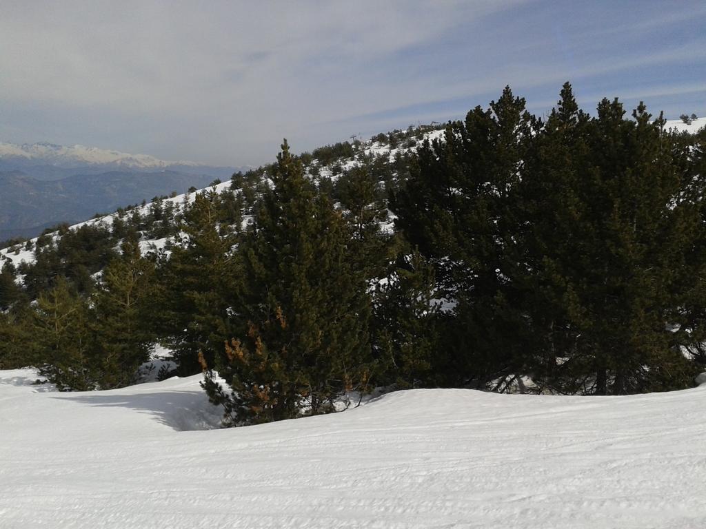 Apartment Face Aux Pistes Greolieres les Neiges Esterno foto