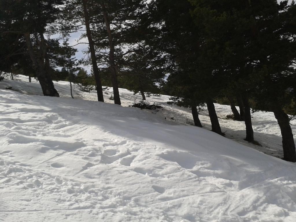 Apartment Face Aux Pistes Greolieres les Neiges Esterno foto