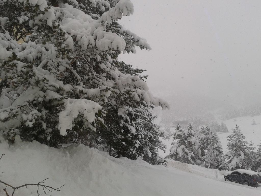 Apartment Face Aux Pistes Greolieres les Neiges Esterno foto