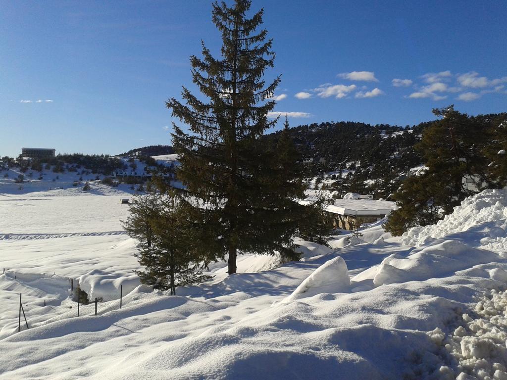 Apartment Face Aux Pistes Greolieres les Neiges Esterno foto